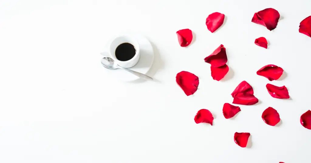Gratis sexdating: røde rosenblade og en kop kaffe på hvid baggrund